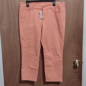 💋🆕Ann Taylor Loft💋